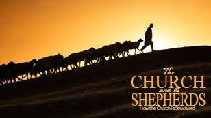 The Church and its Shepherds: How the Church is Structured